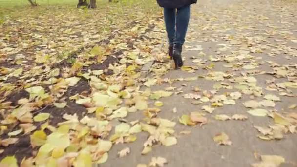Mujer caminando a través de hojas. otoño Parque — Vídeo de stock