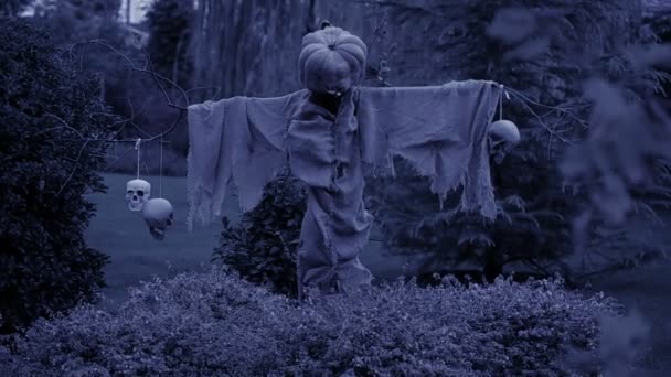 Scarecrow with Pumpkinface. nightmare. halloween. scary ghost — Stock Video