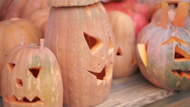 Halloween pumpkins in autumn forest. scary face — Stock Video