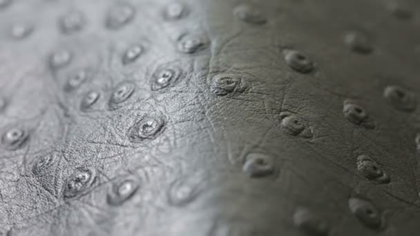 Una foto macro de color gris oscuro perforado textura de fondo de cuero artificial — Stok video