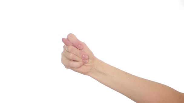 Hand gestures theme the human hand shows gestures isolated on white background — Stock Video