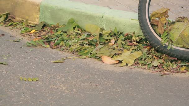 Angin berputar daun di trotoar. daun jatuh di trotoar — Stok Video