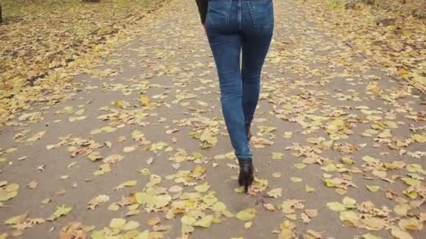 Mujer caminando a través de hojas. otoño Parque — Vídeo de stock