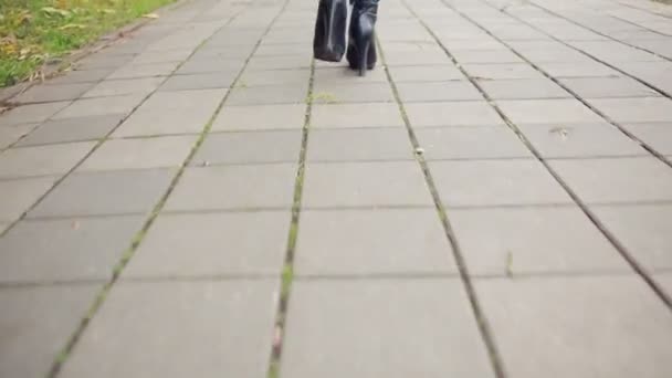 葉を歩く女性。秋公園 — ストック動画