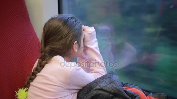 Niña mirando por la ventana. Viaja en un tren . — Vídeos de Stock