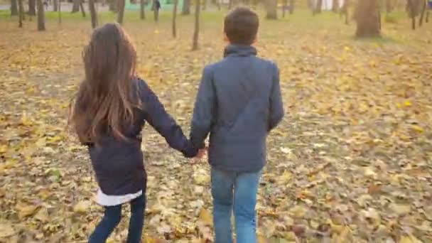 Kinder spielen im Herbstpark — Stockvideo