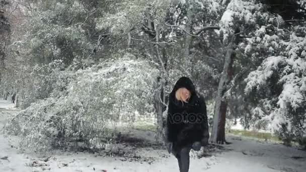 겨울 공원 배경 세련 된 밍 크 코트에 젊은 아름 다운 여자 — 비디오