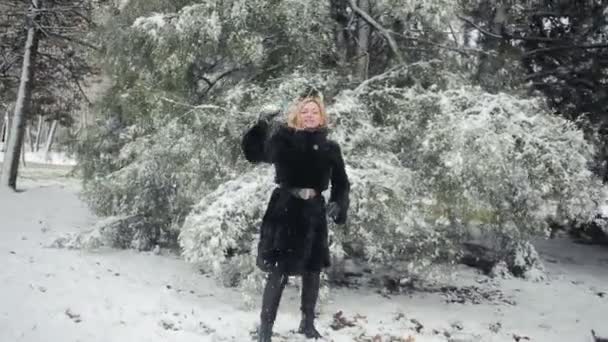 Jeune belle femme en manteau de vison élégant sur un fond de parc d'hiver — Video