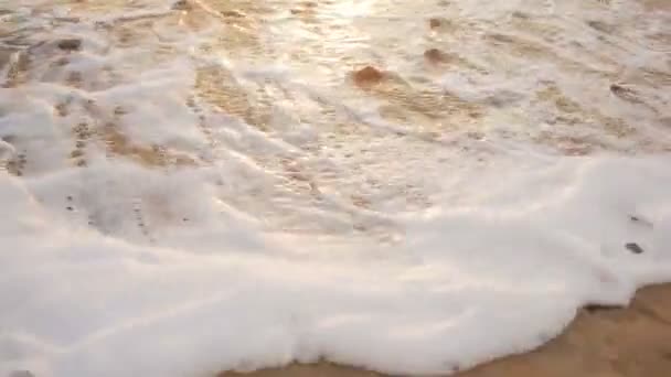 Grandes vagues lors d'une tempête sur la côte — Video