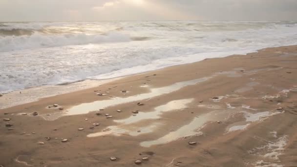 Grandes vagues lors d'une tempête sur la côte 