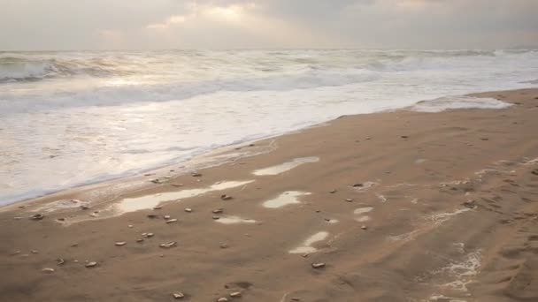 Большие волны во время шторма на побережье — стоковое видео
