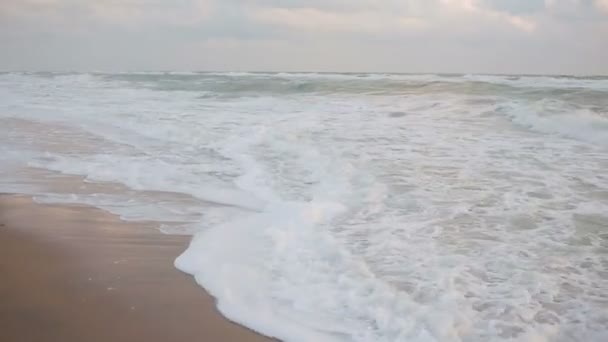 Grandes vagues lors d'une tempête sur la côte 