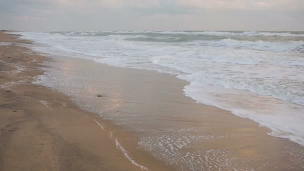 一场暴雨在海岸大浪 — 图库视频影像