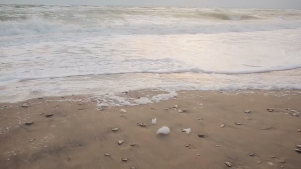 Grandes olas durante una tormenta en la costa — Vídeos de Stock