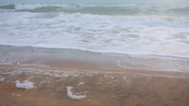 Grandes olas durante una tormenta en la costa — Vídeos de Stock