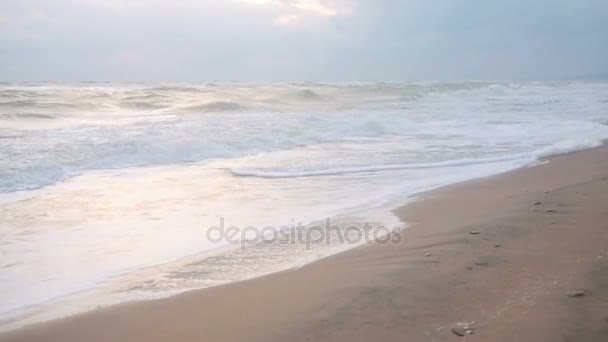 Grandes vagues lors d'une tempête sur la côte 
