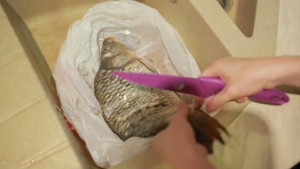 Чистка рыбных чешуек ножом — стоковое видео