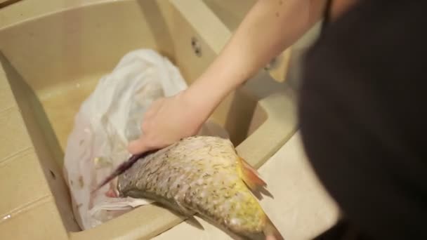Чистка рыбных чешуек ножом — стоковое видео