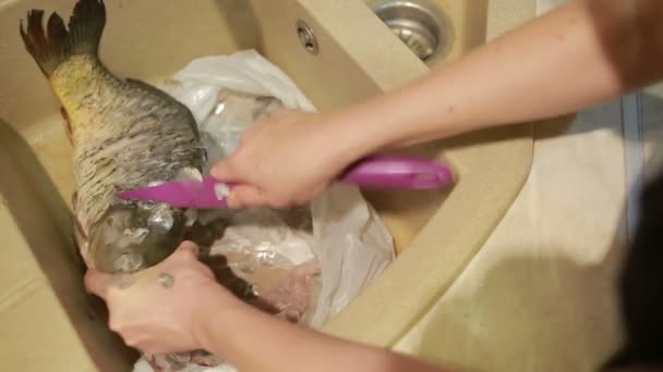 Pulire le squame di pesce con un coltello — Video Stock