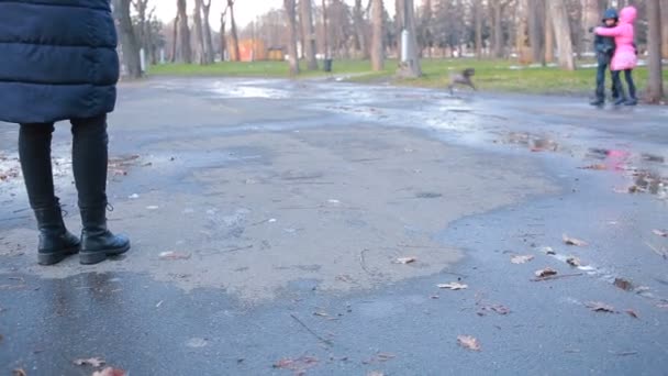 Girl wearing black combat boots splashing in a puddle after rain — Stock Video