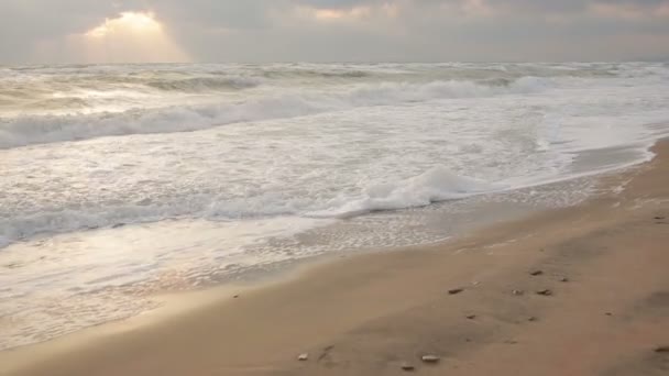 Stora vågor under en storm i kusten — Stockvideo