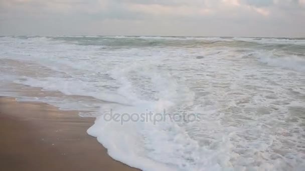 Grandes vagues lors d'une tempête sur la côte 