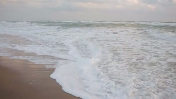 Grandes olas durante una tormenta en la costa — Vídeos de Stock