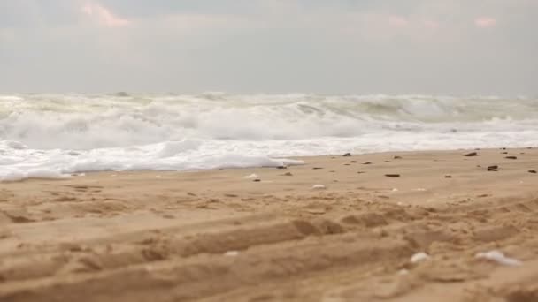 Grandes ondas durante uma tempestade na costa — Vídeo de Stock