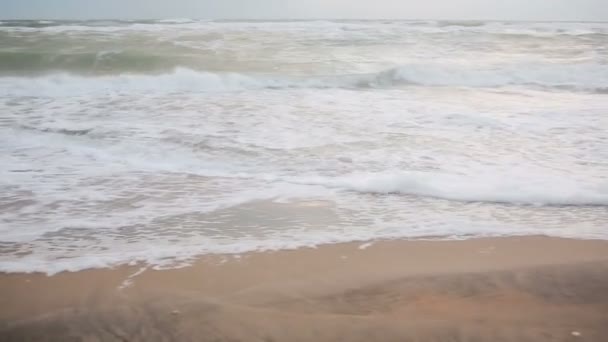 Grandes vagues lors d'une tempête sur la côte 
