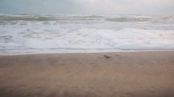 Grandes vagues lors d'une tempête sur la côte 