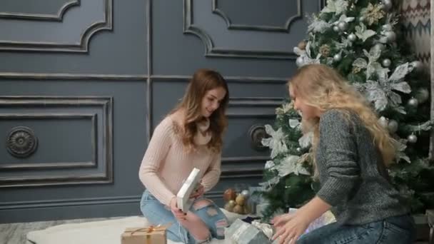 Дві молоді жінки в трикотажних светрах сидять на хутрі біля новорічної ялинки — стокове відео