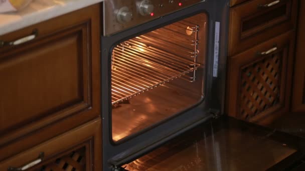 Hands put sliced vegetables with chicken into the oven — Stock Video