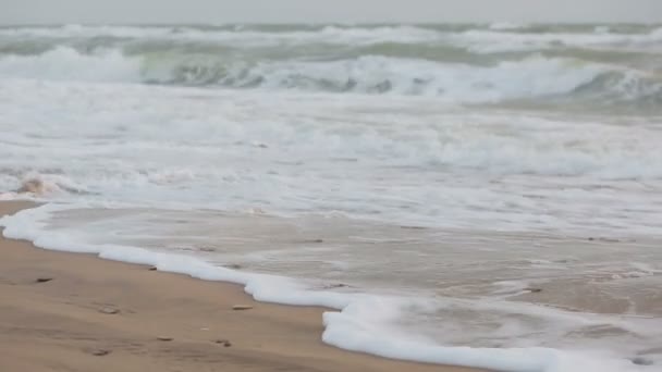 Grandes ondas durante uma tempestade na costa — Vídeo de Stock