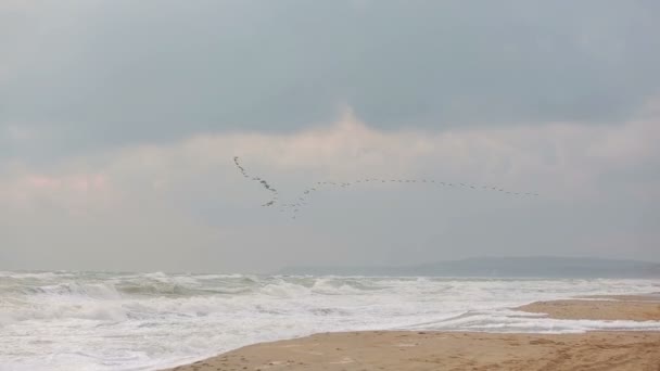 Große Wellen während eines Sturms an der Küste — Stockvideo