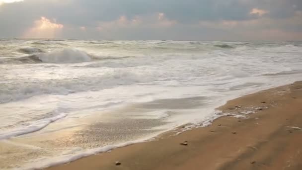 Büyük dalgalarla sahile bir fırtınada sırasında — Stok video