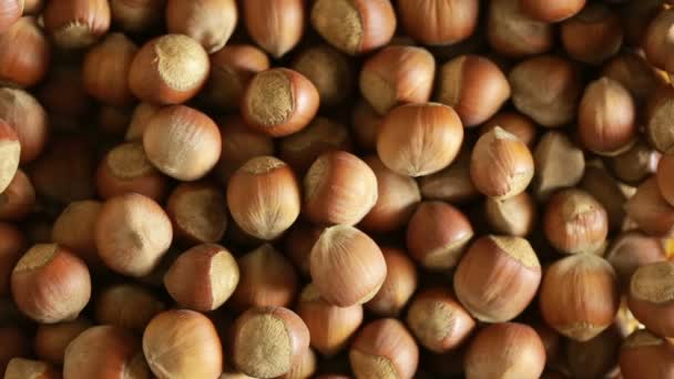 Filbert nuts. Placer in a wicker basket, close-up — Stock Video