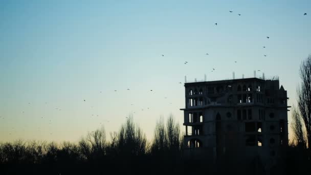 Um bando de corvos voando sobre as ruínas do edifício. crepúsculo. pôr do sol — Vídeo de Stock