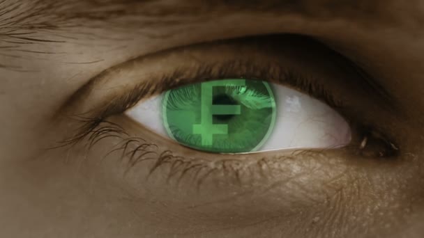 Close-up of eye with computer text overlayed. Zoom in centr. Swiss, Franc, CHF — Stock Video