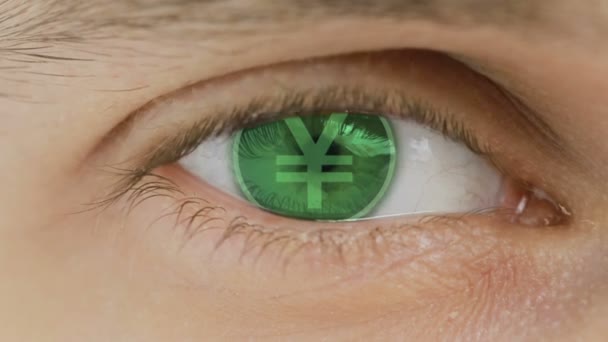 Primer plano del ojo con texto de computadora superpuesto. Zoom en centr. JPY, Yen, Japón — Vídeo de stock