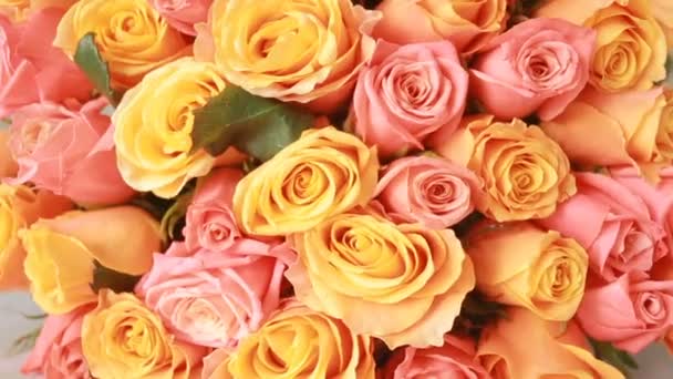 Ζουμερό, πολύχρωμο μπουκέτο με ροζ και πορτοκαλί τριαντάφυλλα, γκρο πλαν — Αρχείο Βίντεο