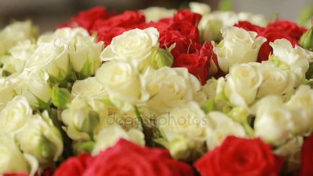 明るいカラフルな花束赤と白のバラ、クローズ アップ — ストック動画