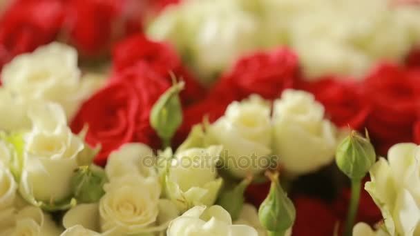 Zářivě barevné kytice z červených a bílých růží, detail — Stock video