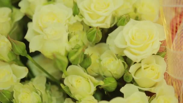 Φωτεινό και πολύχρωμο μπουκέτο από λευκά τριαντάφυλλα, γκρο πλαν — Αρχείο Βίντεο