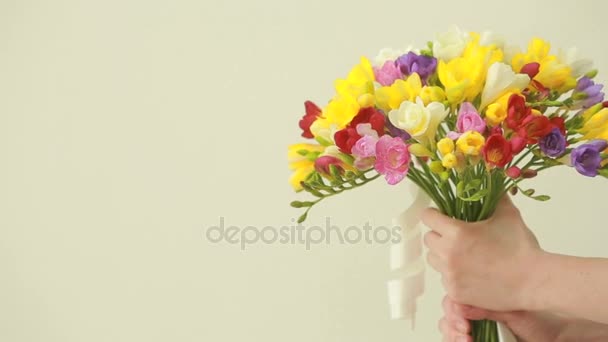 Small bouquet of multicolored freesias in female hands — Stock Video