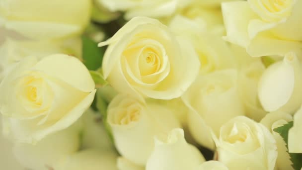 Ljusa färgglada bukett vita rosor, närbild — Stockvideo