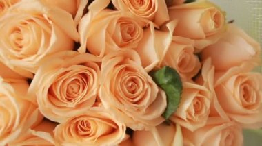 nazik büyük Şeftali güller, buket yakın çekim