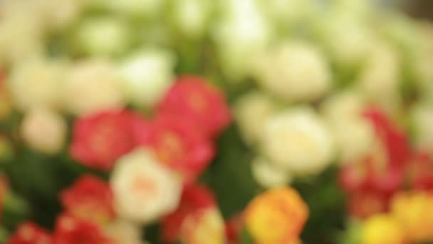 Šťavnaté, barevné kytice růžové a oranžové růže, detail — Stock video