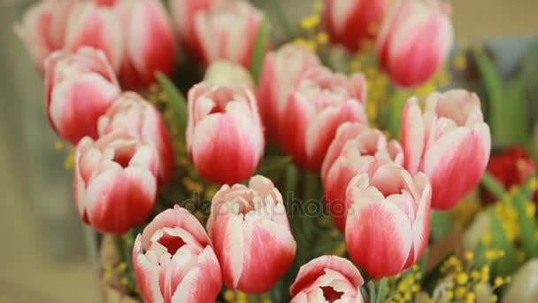 Suculento, colorido buquê de tulipas de cores diferentes e mimosas, close-up — Vídeo de Stock