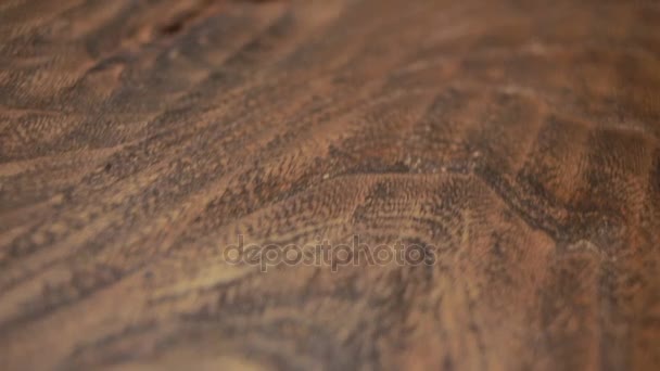 Tischler deckt die beißende Plakette ab, trockenes Holz, beschleunigtes Schießen — Stockvideo