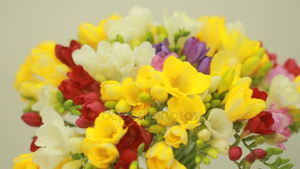 Small bouquet of multicolored freesias in vase — Stock Video